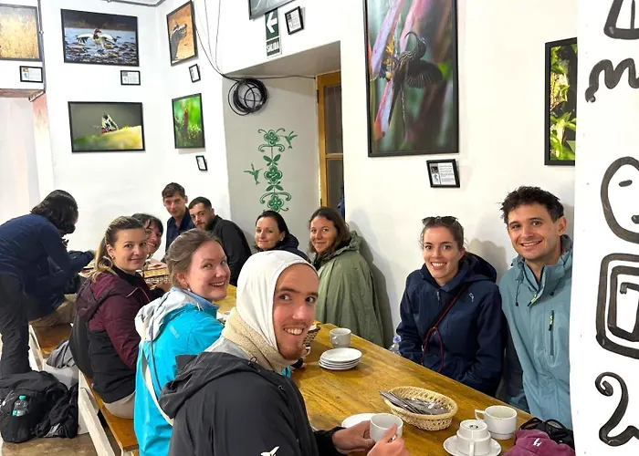 Qinty Nature * Cusco