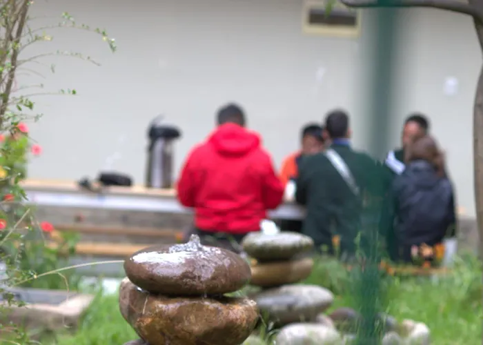 Lodge Qinty Nature